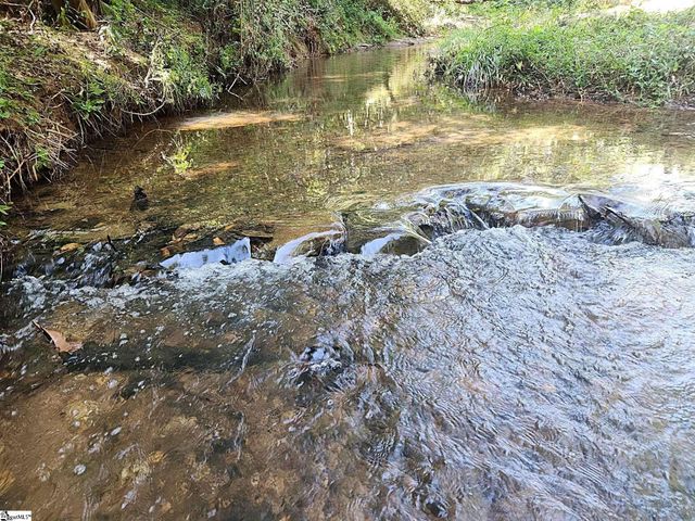 00 Little Africa Road, Campobello, SC 29322