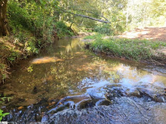 00 Little Africa Road, Campobello, SC 29322