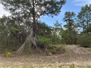 6378 W Settler Drive, Beverly Hills, FL 34465