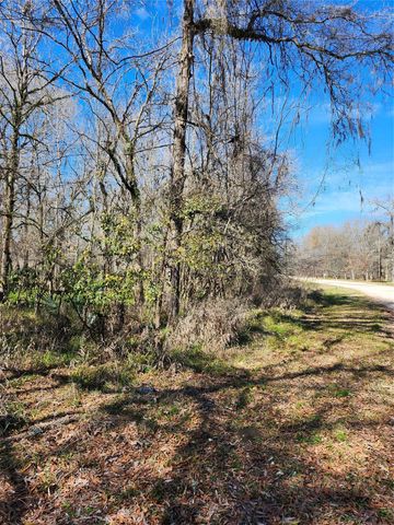TBD Center Drive, Cleveland, TX 77327