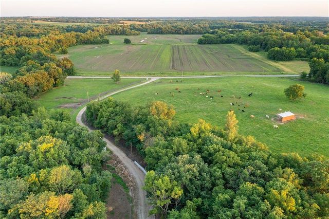 1318 NW 911P Road, Blairstown, MO 64726