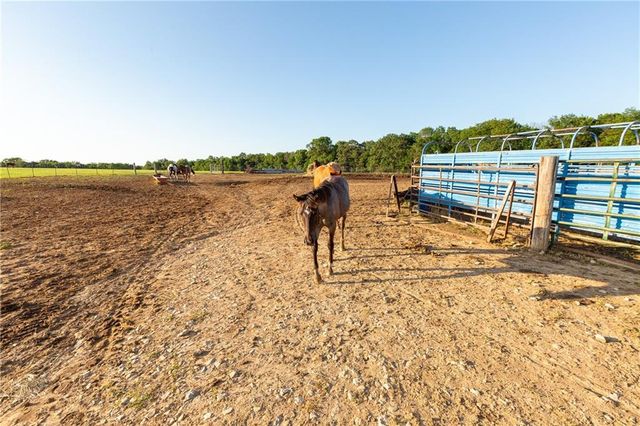 1318 NW 911P Road, Blairstown, MO 64726