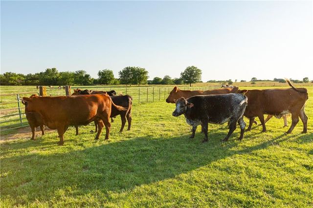 1318 NW 911P Road, Blairstown, MO 64726