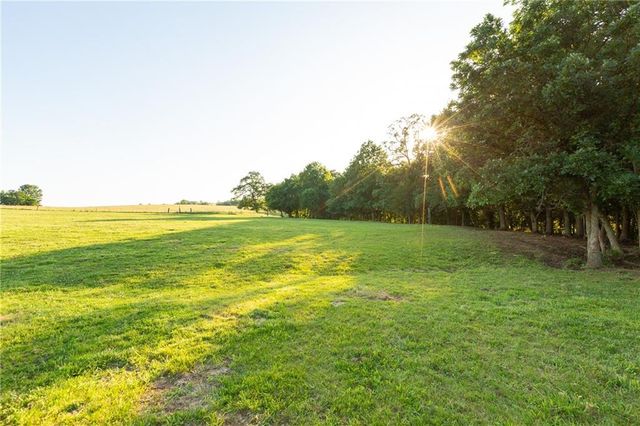 1318 NW 911P Road, Blairstown, MO 64726