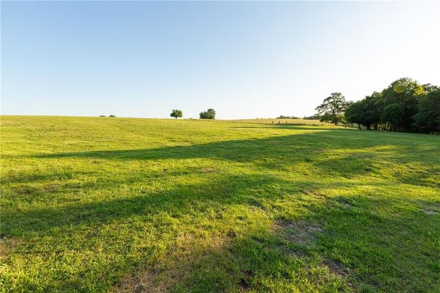 1318 NW 911P Road, Blairstown, MO 64726