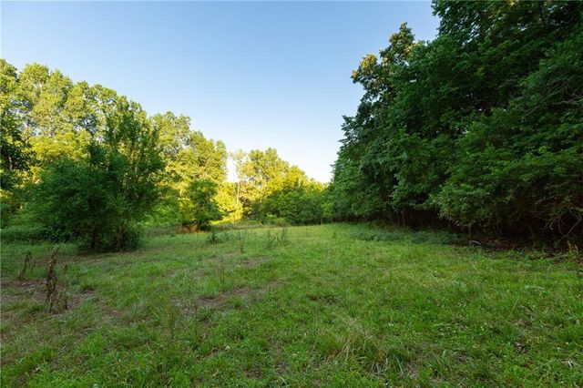 1318 NW 911P Road, Blairstown, MO 64726