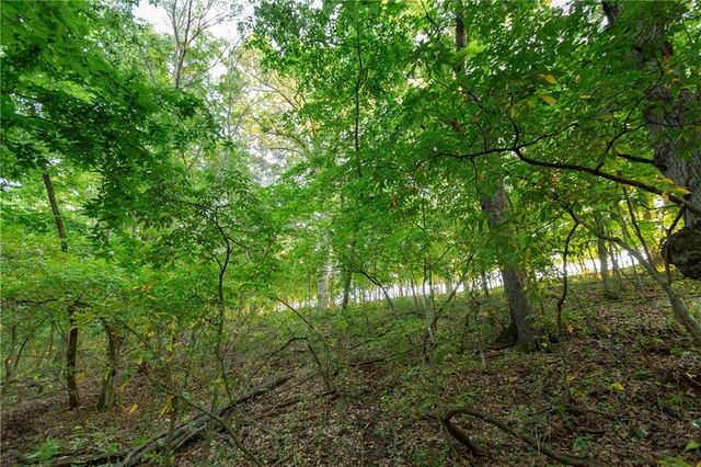 1318 NW 911P Road, Blairstown, MO 64726