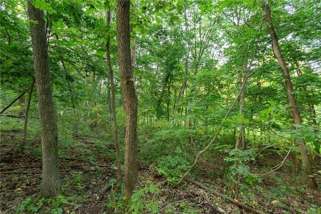 1318 NW 911P Road, Blairstown, MO 64726