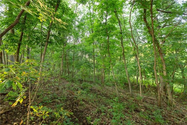 1318 NW 911P Road, Blairstown, MO 64726