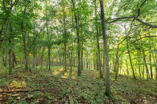 1318 NW 911P Road, Blairstown, MO 64726