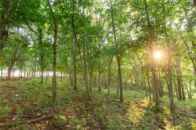 1318 NW 911P Road, Blairstown, MO 64726