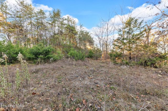 lot 27 Caywood Rd, Dandridge, TN 37725