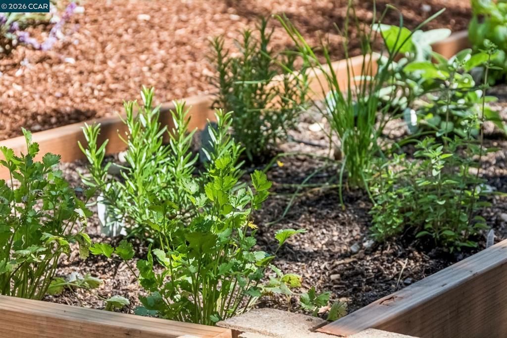 Image 52 of property listing at 212 Yale Ave, Kensington, CA 94708