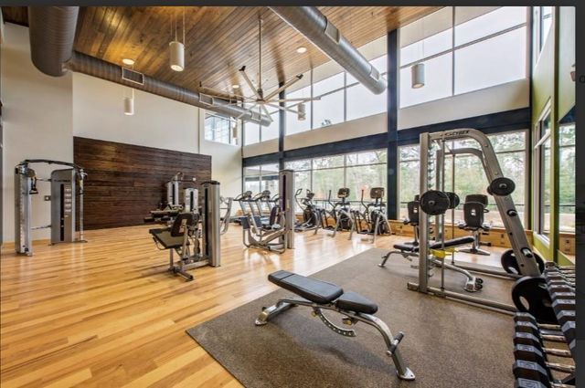 4815 Morning Springs Drive, Spring, TX 77386