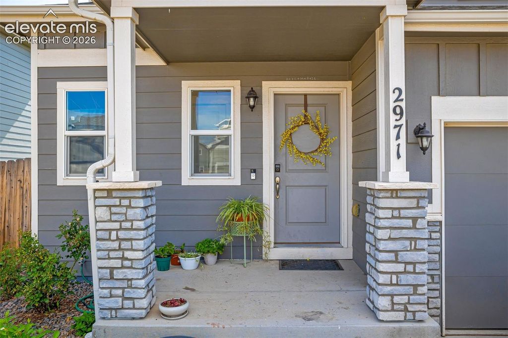 2971 Namib Drive, Colorado Springs, CO 80939 — photo 4