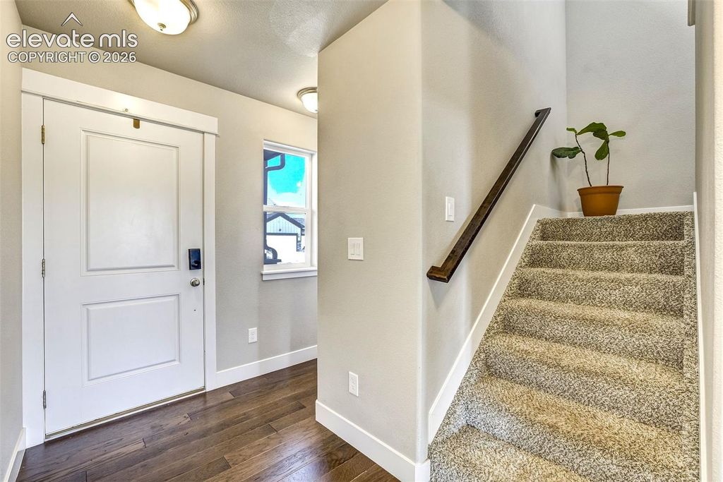 2971 Namib Drive, Colorado Springs, CO 80939 — photo 5