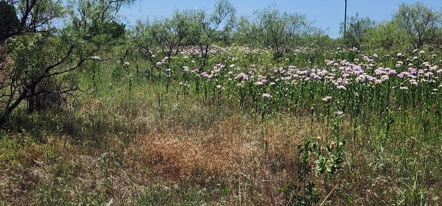 319 PRAIRIE Point, Canyon, TX 79015