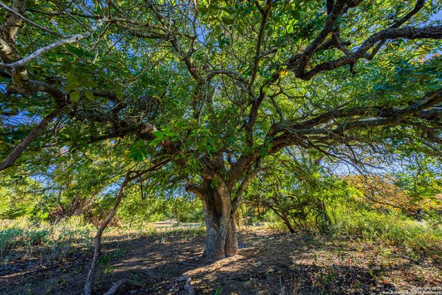 930 Jerald, Fredericksburg, TX 78624