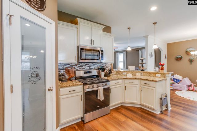54 Revelstone Way, Chapin, SC 29036