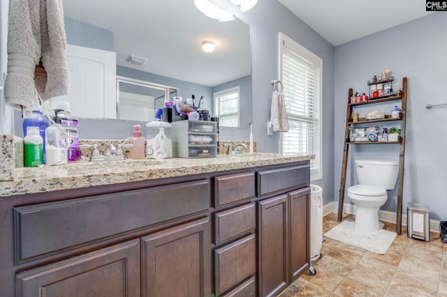 54 Revelstone Way, Chapin, SC 29036