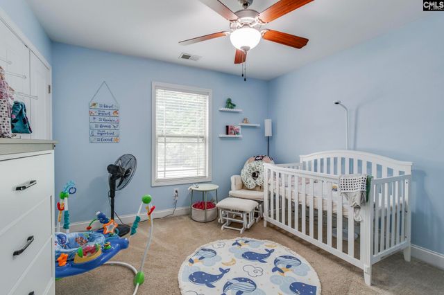 54 Revelstone Way, Chapin, SC 29036