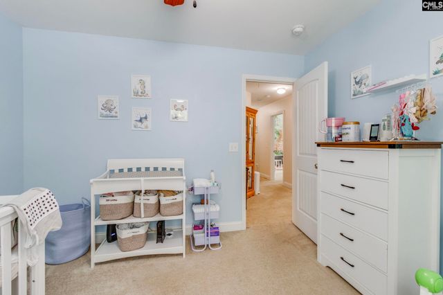 54 Revelstone Way, Chapin, SC 29036