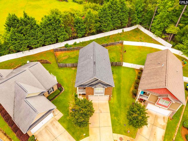 54 Revelstone Way, Chapin, SC 29036