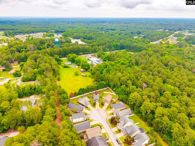 54 Revelstone Way, Chapin, SC 29036