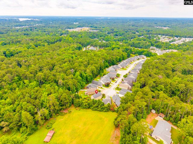 54 Revelstone Way, Chapin, SC 29036