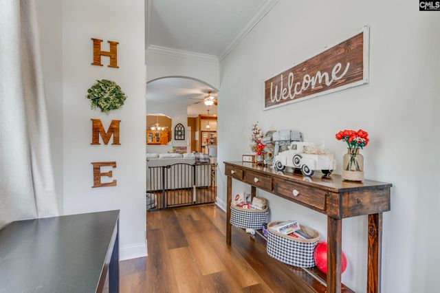 54 Revelstone Way, Chapin, SC 29036
