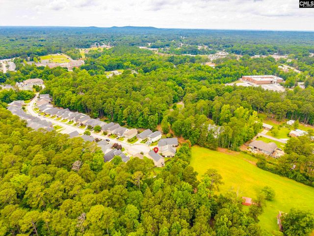 54 Revelstone Way, Chapin, SC 29036