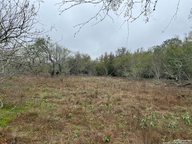 0 FM 466, Seguin, TX 78155