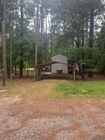 240 Sweetgum Lane, Mount Vernon, TX 75457