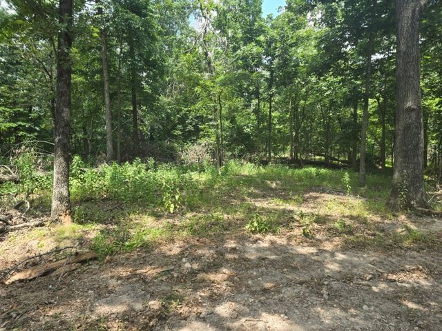 Esculapia Hollow Road Lot 2, Rogers, AR 72758