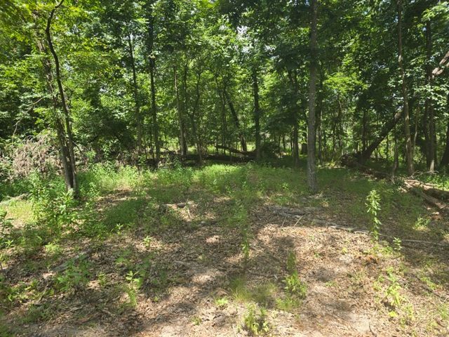 Esculapia Hollow Road Lot 2, Rogers, AR 72758