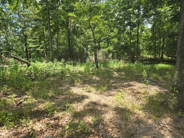 Esculapia Hollow Road Lot 2, Rogers, AR 72758