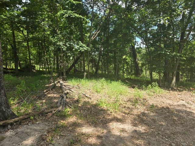 Esculapia Hollow Road Lot 2, Rogers, AR 72758