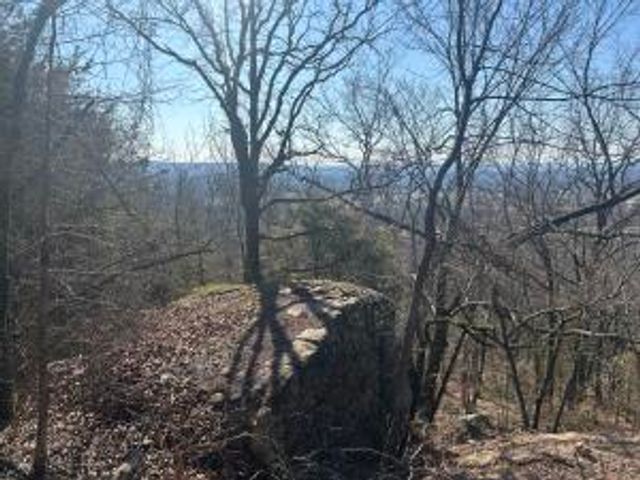 536 Leonard Lane, Pottsville, AR 72858