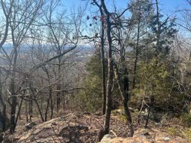 536 Leonard Lane, Pottsville, AR 72858