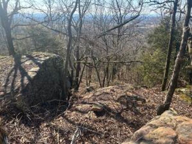 536 Leonard Lane, Pottsville, AR 72858