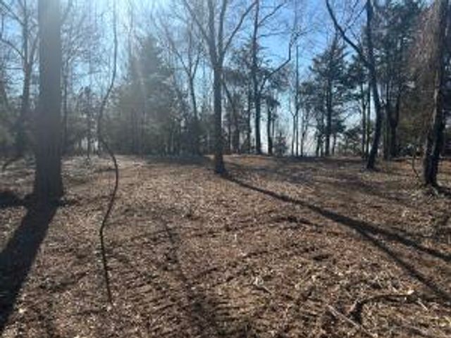 536 Leonard Lane, Pottsville, AR 72858