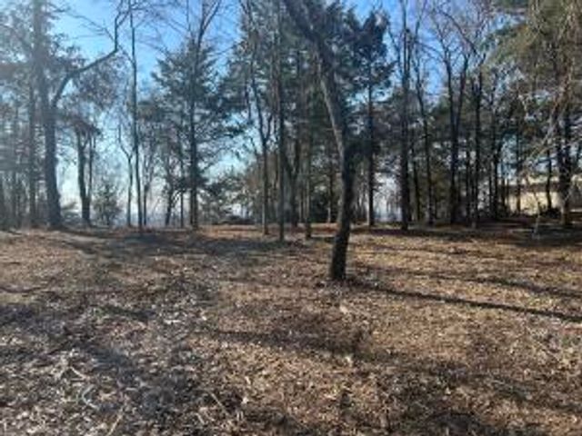 536 Leonard Lane, Pottsville, AR 72858