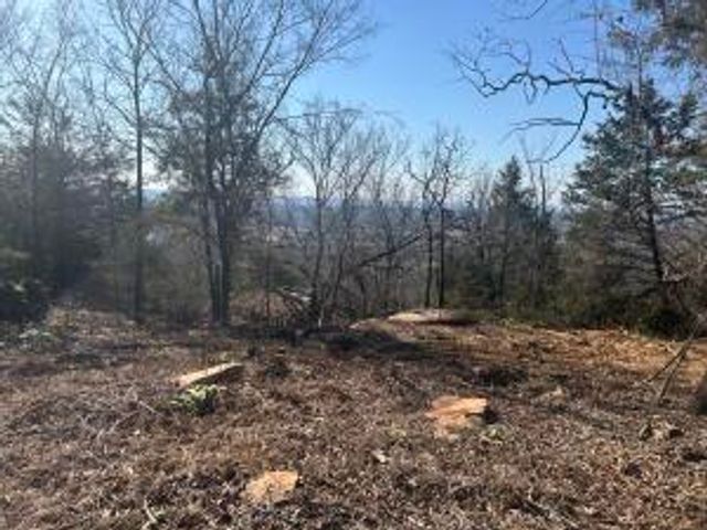 536 Leonard Lane, Pottsville, AR 72858