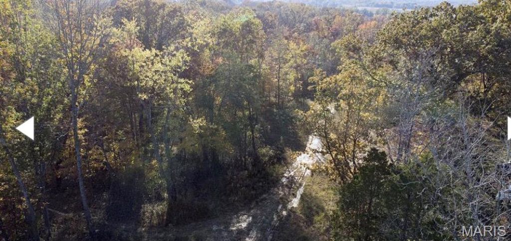 Image 3 of property listing at 0 State Highway 72, Millersville, MO 63766