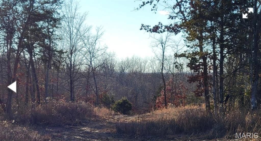 Image 6 of property listing at 0 State Highway 72, Millersville, MO 63766