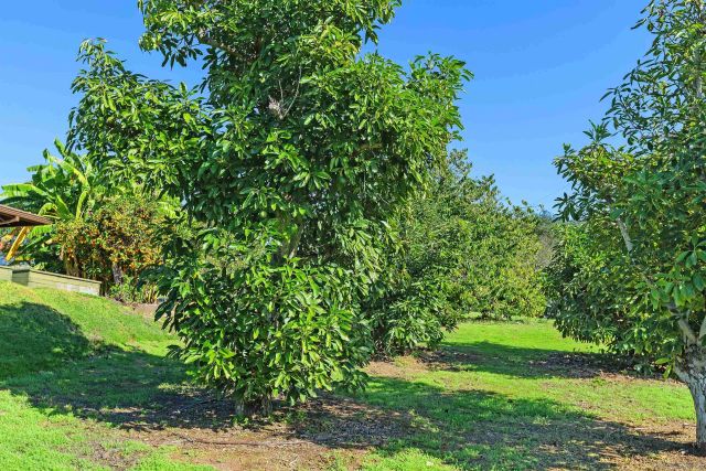 363 Tumble Creek Ln, Fallbrook, CA 92028