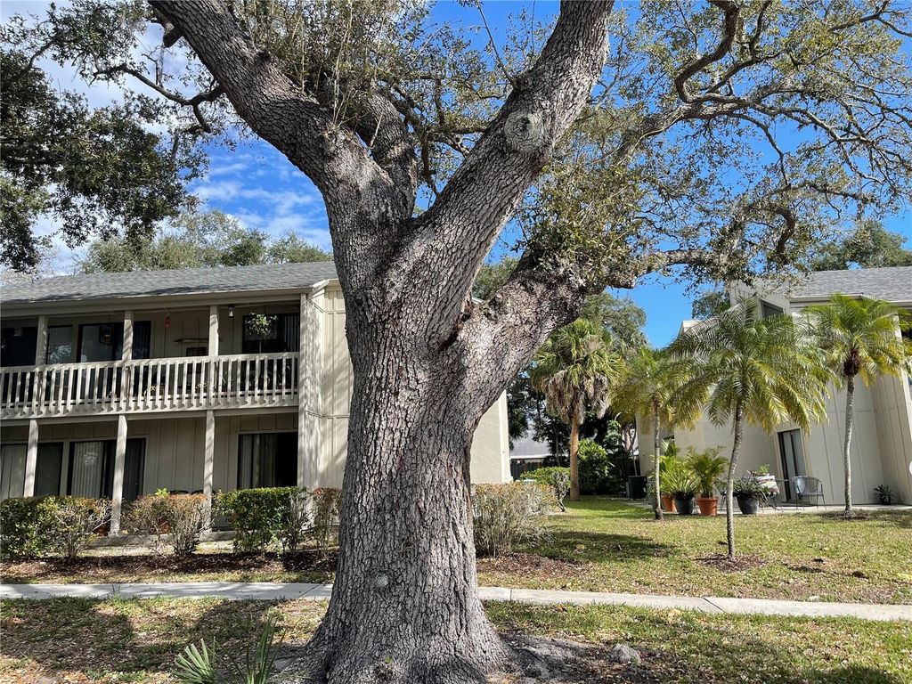 2224 BAHIA VISTA STREET E6, Sarasota, FL 34239
