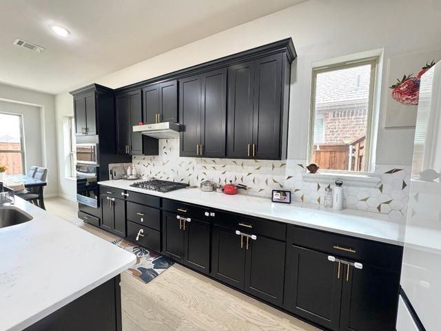 3837 Pearlwood Road, Little Elm, TX 75068