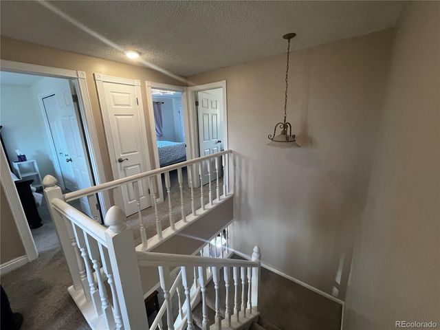 13134 Peacock Drive, Lone Tree, CO 80124