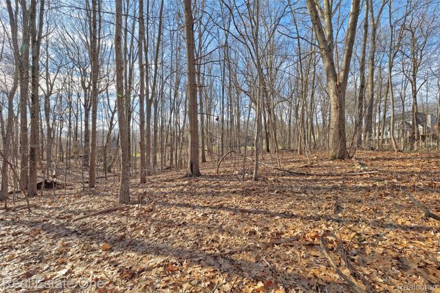 9889 Kingston Ridge, Springfield Charter Township, MI 48348